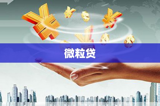 云溪微粒贷