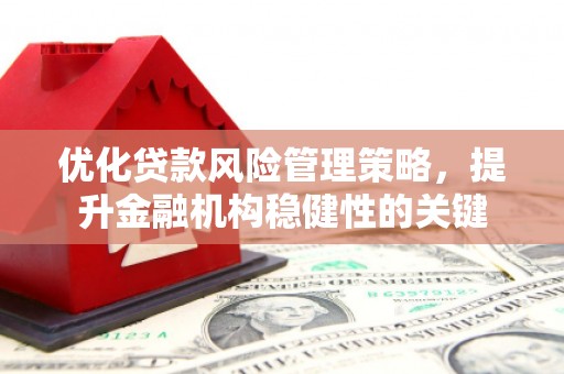 云溪优化贷款风险管理策略，提升金融机构稳健性的关键