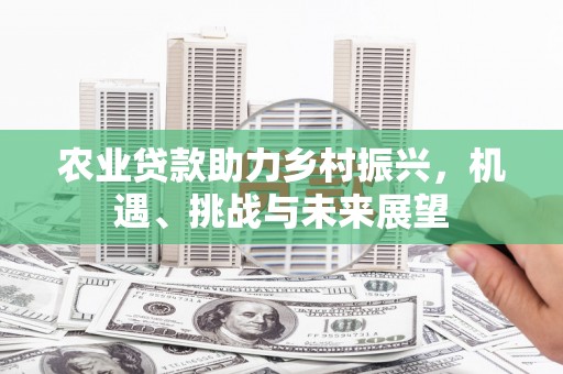 云溪农业贷款助力乡村振兴，机遇、挑战与未来展望