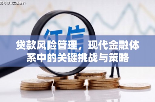 云溪贷款风险管理，现代金融体系中的关键挑战与策略