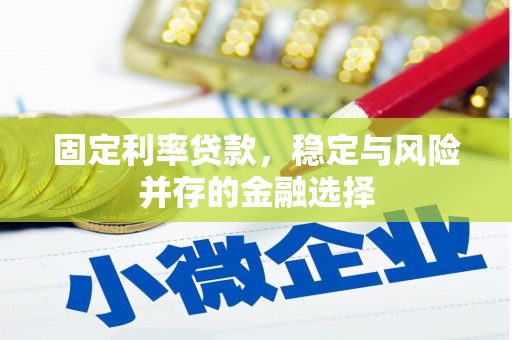 云溪固定利率贷款，稳定与风险并存的金融选择