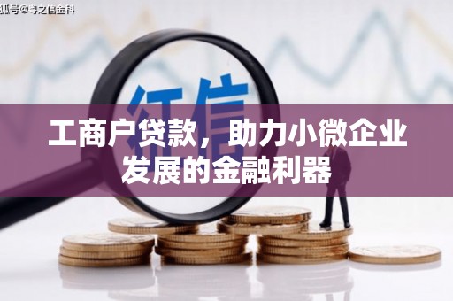 云溪工商户贷款，助力小微企业发展的金融利器