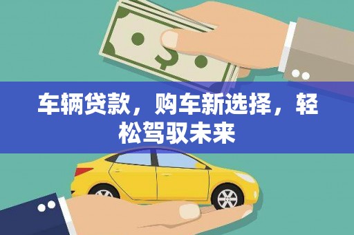 云溪车辆贷款，购车新选择，轻松驾驭未来