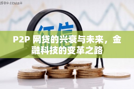 云溪P2P 网贷的兴衰与未来，金融科技的变革之路