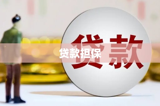 云溪贷款担保