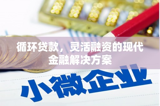 云溪循环贷款，灵活融资的现代金融解决方案
