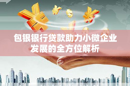 云溪包银银行贷款助力小微企业发展的全方位解析