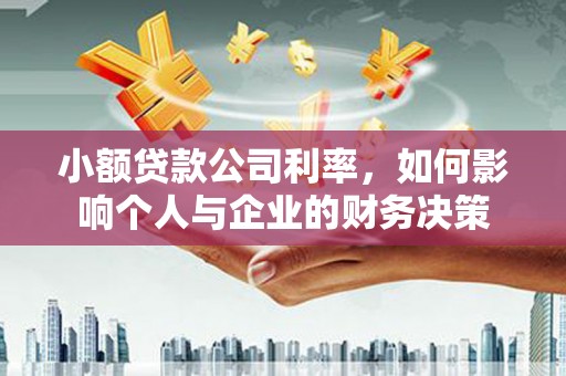 云溪小额贷款公司利率，如何影响个人与企业的财务决策