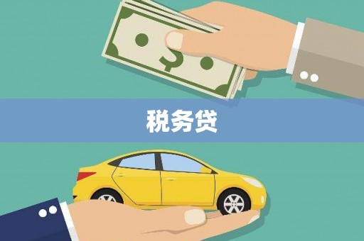 云溪税务贷