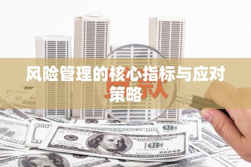 云溪风险管理的核心指标与应对策略