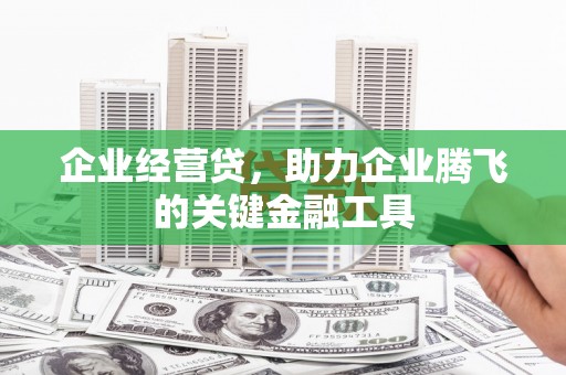 云溪企业经营贷，助力企业腾飞的关键金融工具