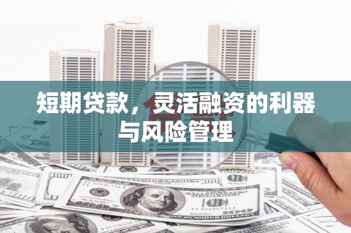 云溪短期贷款，灵活融资的利器与风险管理