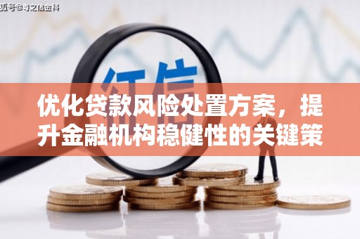 云溪优化贷款风险处置方案，提升金融机构稳健性的关键策略