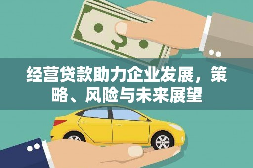 云溪经营贷款助力企业发展，策略、风险与未来展望