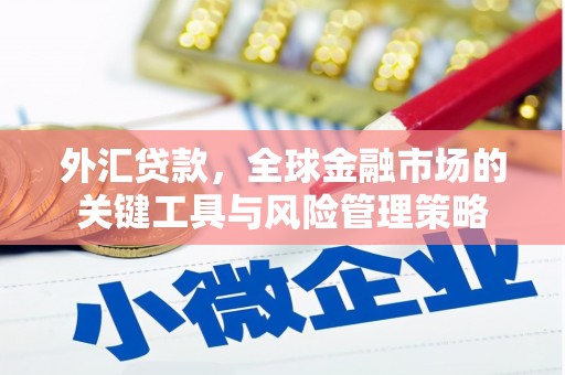 云溪外汇贷款，全球金融市场的关键工具与风险管理策略