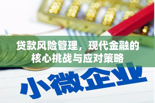 云溪贷款风险管理，现代金融的核心挑战与应对策略