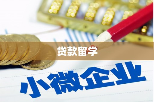 云溪贷款留学