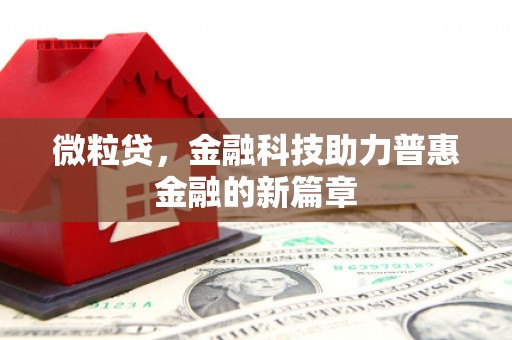 云溪微粒贷，金融科技助力普惠金融的新篇章