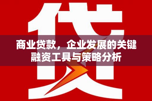 云溪商业贷款，企业发展的关键融资工具与策略分析