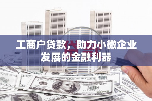 云溪工商户贷款，助力小微企业发展的金融利器