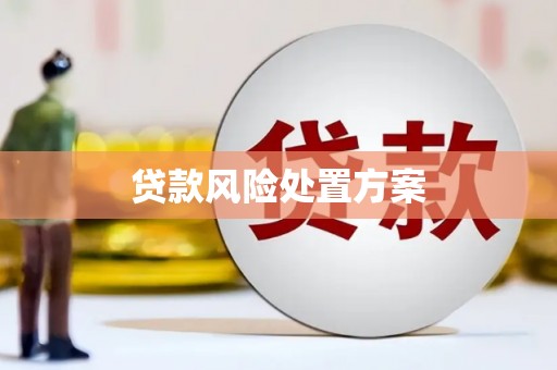 云溪贷款风险处置方案