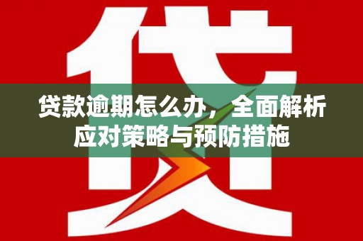云溪贷款逾期怎么办，全面解析应对策略与预防措施