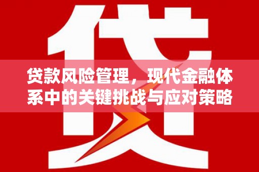 云溪贷款风险管理，现代金融体系中的关键挑战与应对策略