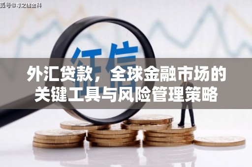 云溪外汇贷款，全球金融市场的关键工具与风险管理策略