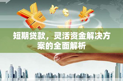 云溪短期贷款，灵活资金解决方案的全面解析