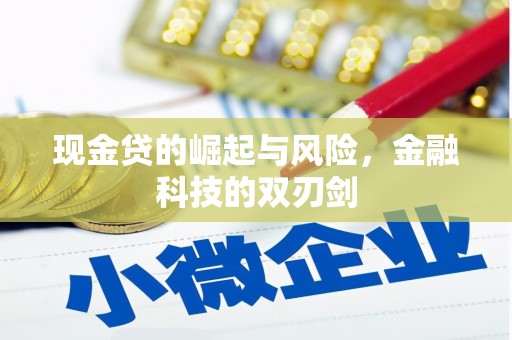 云溪现金贷的崛起与风险，金融科技的双刃剑
