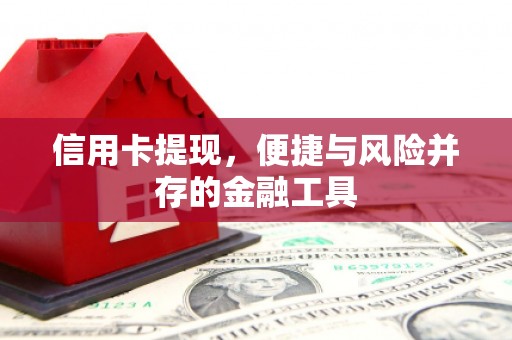 云溪信用卡提现，便捷与风险并存的金融工具