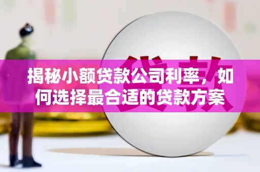 云溪揭秘小额贷款公司利率，如何选择最合适的贷款方案