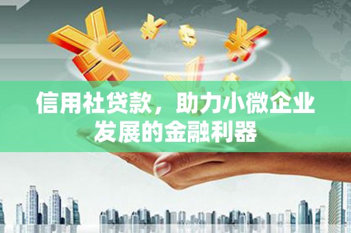 云溪信用社贷款，助力小微企业发展的金融利器