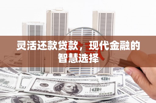 云溪灵活还款贷款，现代金融的智慧选择