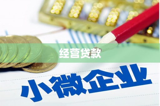 云溪经营贷款