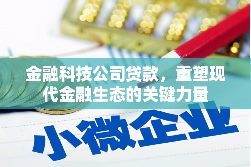 云溪金融科技公司贷款，重塑现代金融生态的关键力量