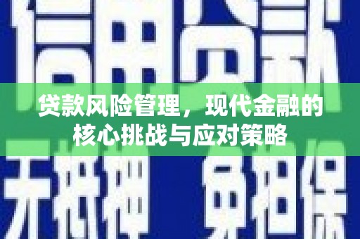 云溪贷款风险管理，现代金融的核心挑战与应对策略