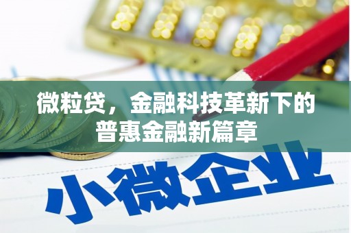 云溪微粒贷，金融科技革新下的普惠金融新篇章