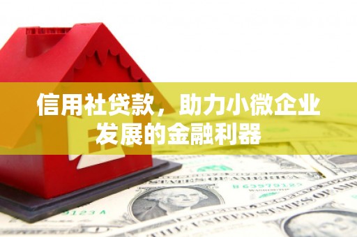 云溪信用社贷款，助力小微企业发展的金融利器