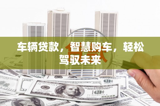 云溪车辆贷款，智慧购车，轻松驾驭未来