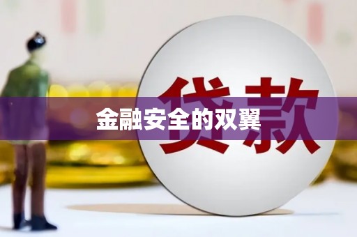 云溪金融安全的双翼