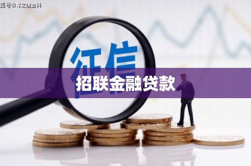 云溪招联金融贷款