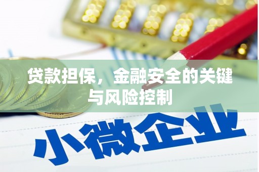 云溪贷款担保，金融安全的关键与风险控制