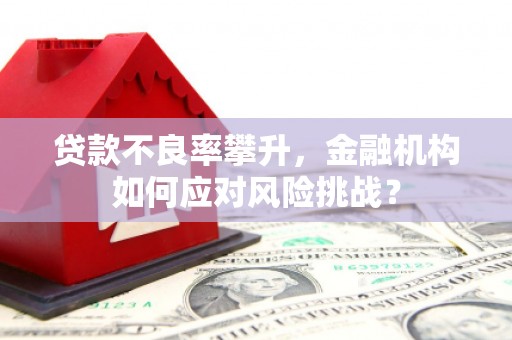 云溪贷款不良率攀升，金融机构如何应对风险挑战？