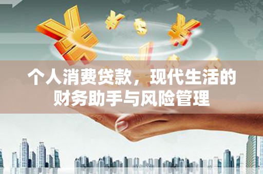 云溪个人消费贷款，现代生活的财务助手与风险管理