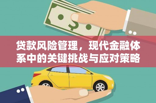 云溪贷款风险管理，现代金融体系中的关键挑战与应对策略