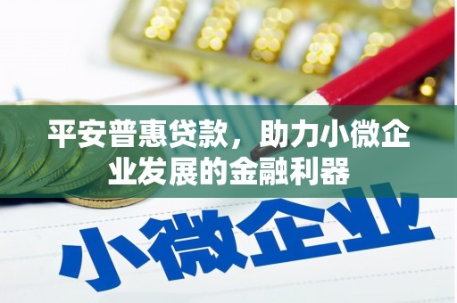 云溪平安普惠贷款，助力小微企业发展的金融利器
