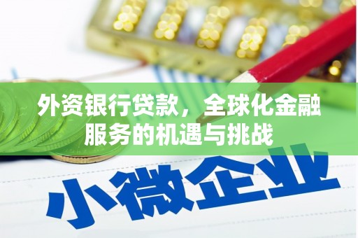 云溪外资银行贷款，全球化金融服务的机遇与挑战