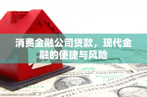 云溪消费金融公司贷款，现代金融的便捷与风险