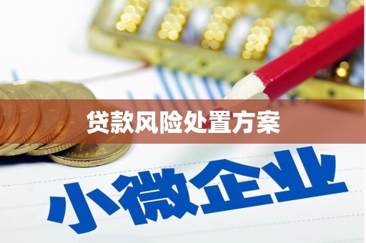 云溪贷款风险处置方案
